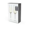 Raye Crystal Angled Champagne Flutes ViskiÂ®