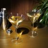 Stemmed Crystal Martini Glasses by Viski