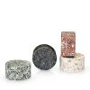 Glacier Rocks Multi-Color Granite Stones ViskiÂ® (Set of 4)