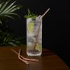 Summit Cocktail Straws in Copper ViskiÂ®