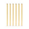 Belmont Gold Stainless Steel Short Straws ViskiÂ® (Set of 6)