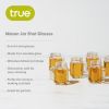 Mason Jar Shot Glasses True (Set of 6)