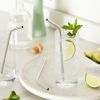 Sippy Stainless Steel Straws True (Set of 4)