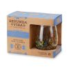 Artistico Recycled Stemless Wine Glasses TwineÂ® (Set of 2)