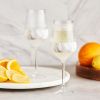 Wine FREEZE Stemmed Marble HOSTÂ® (Set of 2)