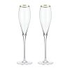 Crystal Gold-Rimmed Champagne Flutes Viski