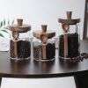 3 Pcs Glass Coffee Jars With Spoons, Candy Jars, Biscuit Jars, Storage Jars, Tea Jars, Snack Jars, Seasoning Jars, Salt Jars, Pepper Jars