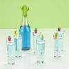 7 Piece Stopper and Charm Set True Zoo